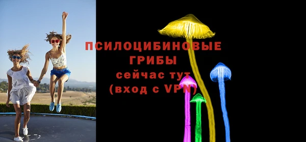 mdpv Майский
